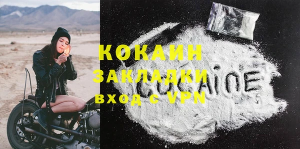 прущие грибы Пролетарск