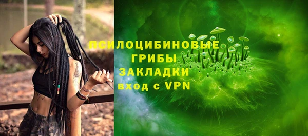 Альфа ПВП Алзамай