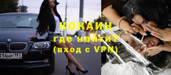 индика Россошь