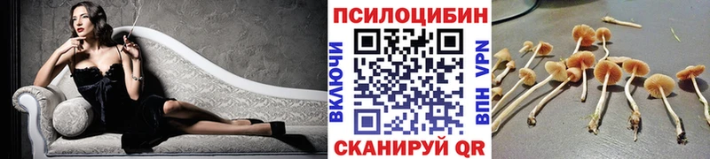 Галлюциногенные грибы GOLDEN TEACHER  Ардатов 